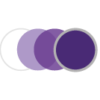 Style-Colors_Icon_Amethyst_Line-of-Lenses_Master